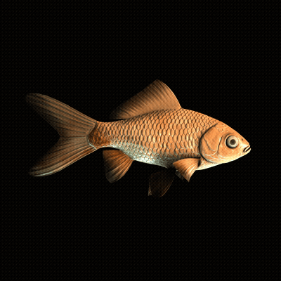 CryptoFish #1226
