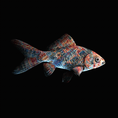 CryptoFish #1669