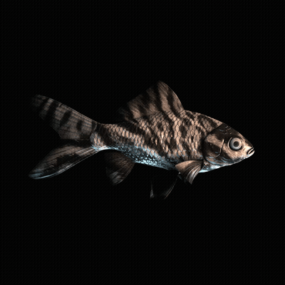 CryptoFish #1670