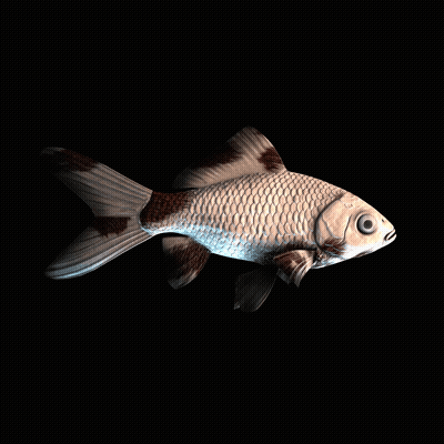 CryptoFish #1671