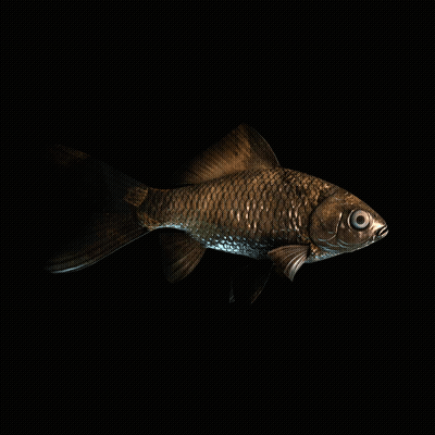 CryptoFish #1672