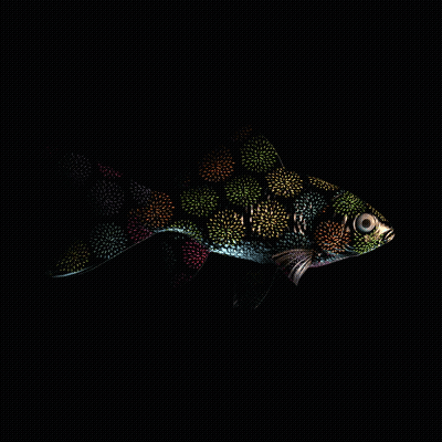 CryptoFish #3759