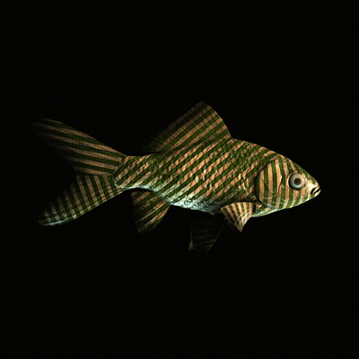 CryptoFish #3772