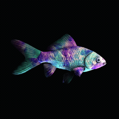 CryptoFish #3779
