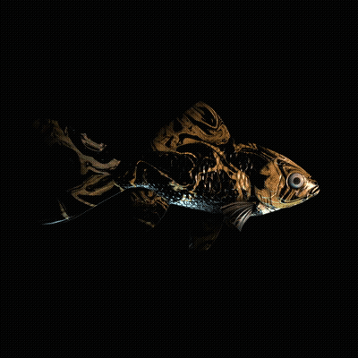 CryptoFish #3963