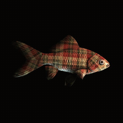 CryptoFish #3987