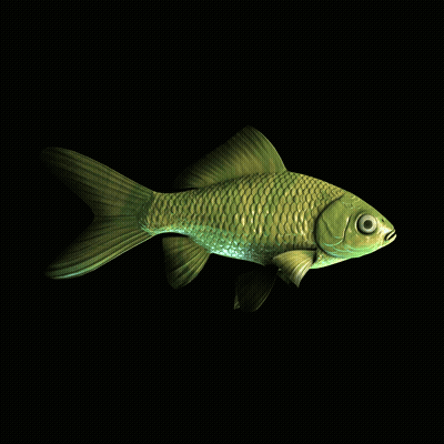 CryptoFish #4019