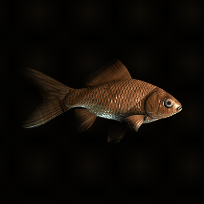 CryptoFish #4020