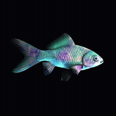 CryptoFish #4035