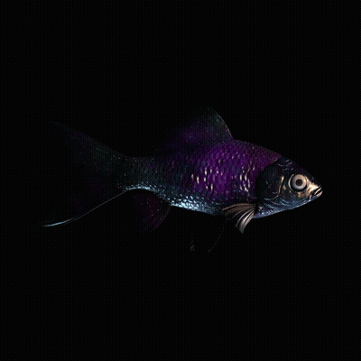 CryptoFish #4066