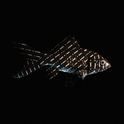 CryptoFish #4082