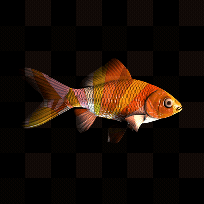 CryptoFish #4083