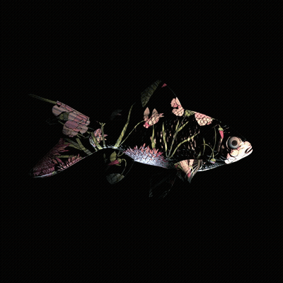 CryptoFish #4088