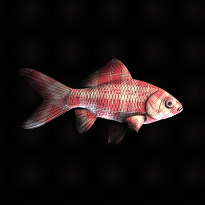 CryptoFish #4141