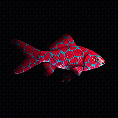 CryptoFish #4172