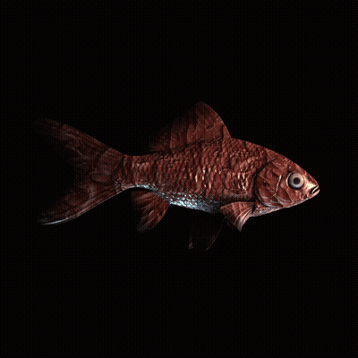 CryptoFish #4183