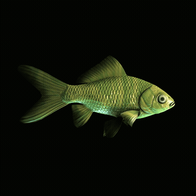 CryptoFish #4191