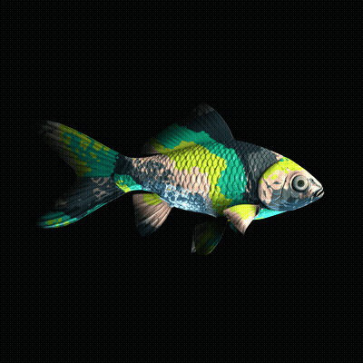 CryptoFish #4257