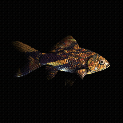 CryptoFish #4324
