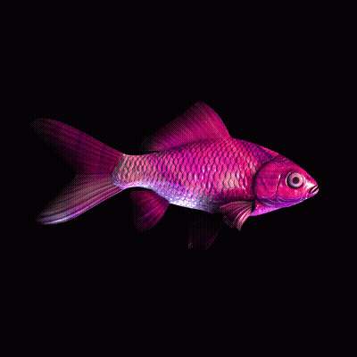 CryptoFish #4346