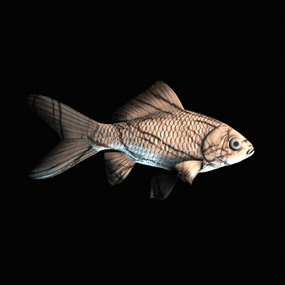 CryptoFish #4370